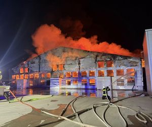 Pożar kurnika na Opolszczyźnie! W środku było ponad 130 tys. sztuk drobi [ZDJĘCIA]