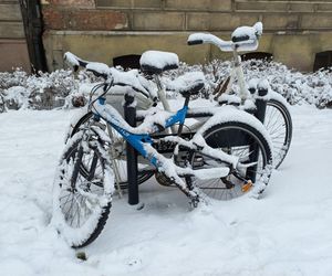 Leszno wygląda bajkowo! Na walentynki sypnęło śniegiem