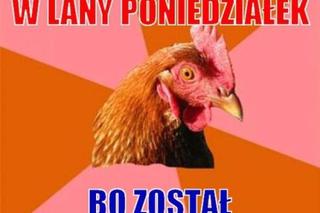 Lany Poniedziałek memy