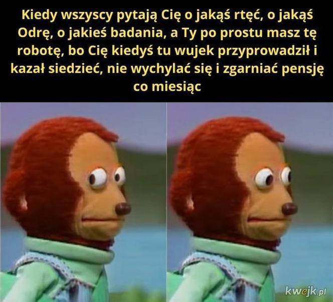 Zatruta Odra. Internauci komentują reakcje rządu [MEMY] 