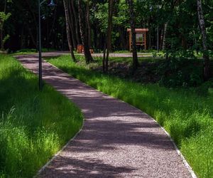 Rów Kalny w Sosnowcu znajduje się w Parku Tysiąclecia