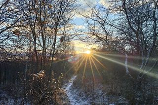 Pierwszy śnieg w tym roku. Pomorze pokryte białym puchem