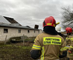 Silny wiatr w Zachodniopomorskiem. Odnotowano ponad 100 interwencji strażaków