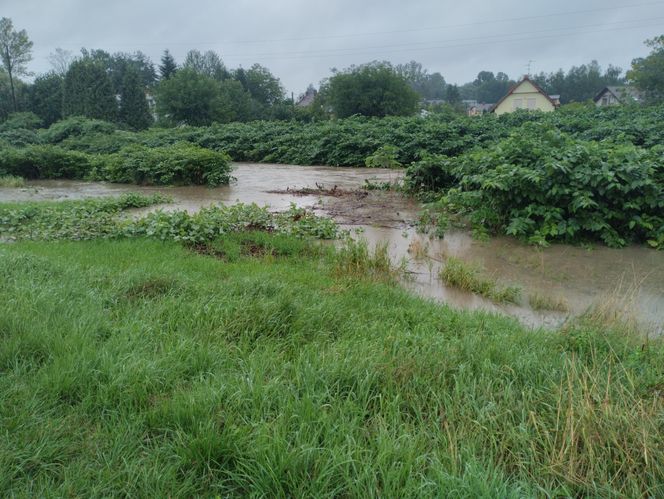 Ulewne deszcze na Śląsku. Trudna sytuacja na Żywiecczyźnie