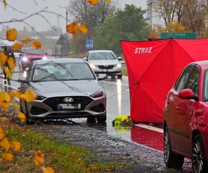 Zwłoki na drodze w Tarczynie. Policja szuka świadków