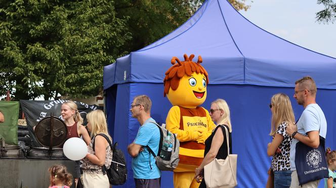 Tak wyglądał piknik rodzinny w Lublinie na koniec wakacji! Zobacz zdjęcia