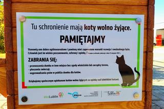 Lubelskie koty od miasta dostaną własne M6 na zimę. Gdzie pojawią się budki? 