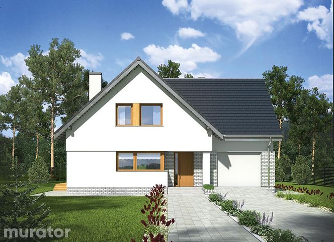 Projekty domów: małe i duże domy
