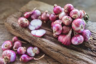 Szalotka – czym się różni od cebuli? Wszystko o czosnku askalońskim [WIDEO]