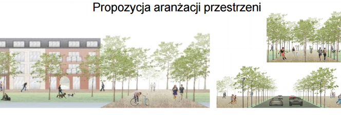 Żmigród od nowa? Nowe budynki i mniej samochodów