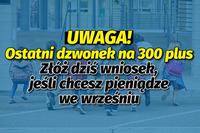 300 plus: Dziś ostatni dzień na szybkie pieniądze