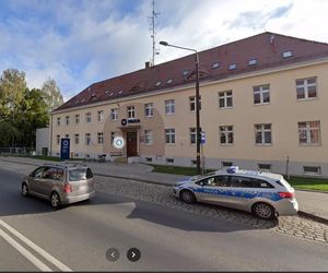 Żółw na drodze niedaleko Wschowy. Policja szuka właściciela