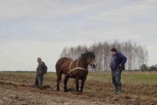 Rolnicy. Podlasie 2. Co się wydarzyło w 4. odcinku? [STRESZCZENIE, POWTÓRKA]