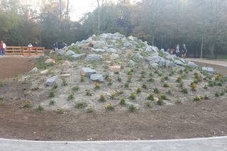 Wyremontowany Park Grabek w Czeladzi