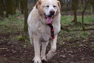 Olimp czeka na nowy dom