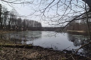 To jedno z najmniejszych jezior w Olsztynie. Prawie nikt o nim nie słyszał, a widoki zachwycają