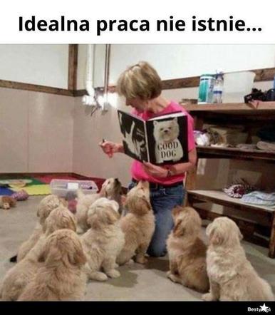 Memy o pracy