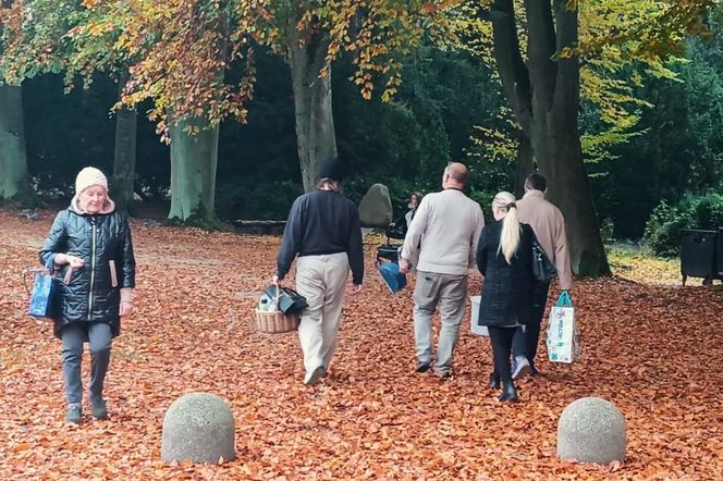 Przygotowania do 1 listopada na Cmentarzu Centralnym w Szczecinie