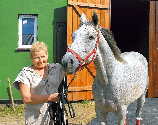 Odzyskałam mojego konika