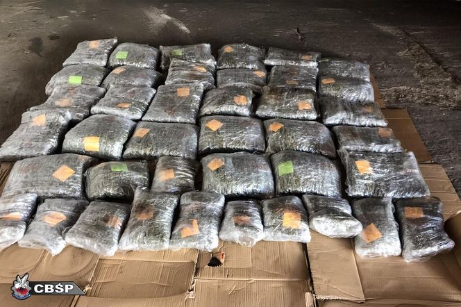 Elblążanin mózgiem narkobiznesu. Kierował gangiem działającym w całej Europie