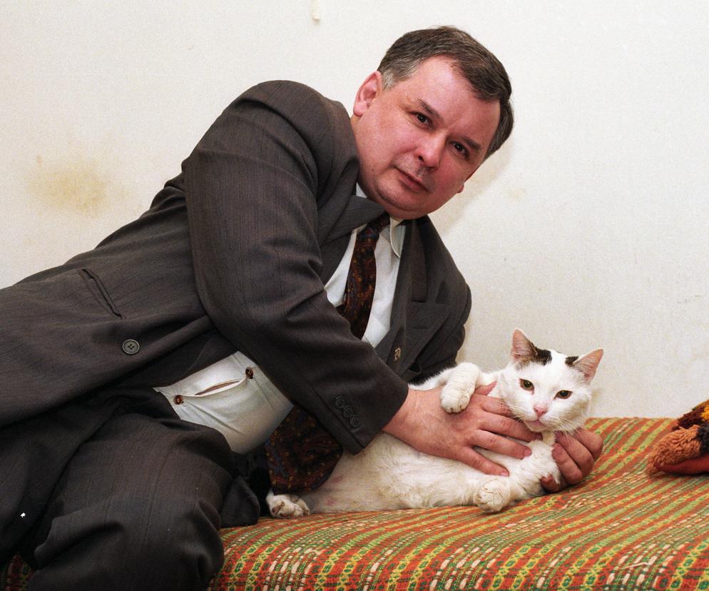 Jarosław Kaczyński, kot