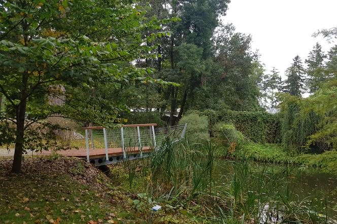 W Ogrodzie Botanicznym w Zielonej Górze powstała hydro platforma! 