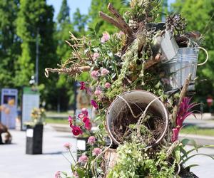 Weekend z florystyką w Lublinie. Zobacz imponujące roślinne instalacje w centrum miasta!