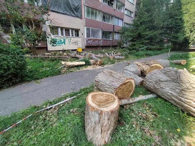 Wielkie drzewo runęło im na blok. „Widziałam, jak na mnie leci!”