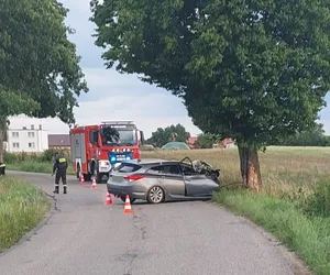 Pijany i bez prawa jazdy wsiadł za kółko! Rozbił się na drzewie pod Kamieniem Krajeńskim [ZDJĘCIA]