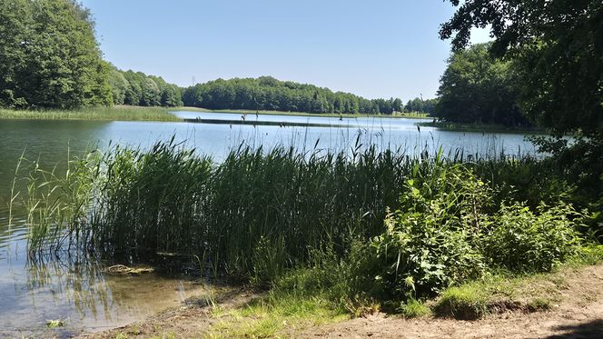 To jedno z największych jezior w Olsztynie. Kusi turystów piaszczystymi plażami