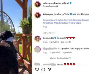 Te psy skradły serca gwiazd! Niektóre wyglądają jak z bajk