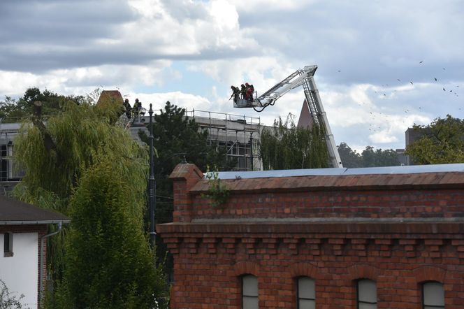 Pożar dachu budowanego budynku straży pożarnej. Zdjęcia z miejsca zdarzenia