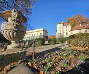 Jesienny spacer po łańcuckim parku. Niezwykłe miejsce na spędzenie czasu 