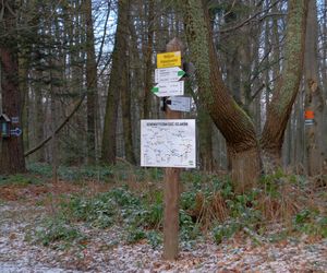 Magura Małastowska