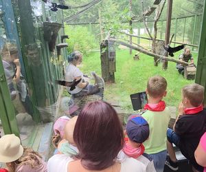 Pokazowe karmienie w myślęcińskim zoo to prawdziwy hit! Sprawdziliśmy to na miejscu