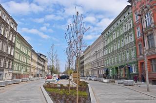 Nowe nasadzenia na alei Wojska Polskiego