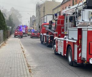 Śmiertelny pożar. W mieszkaniu znaleziono zwęglone ciało [ZDJĘCIA]