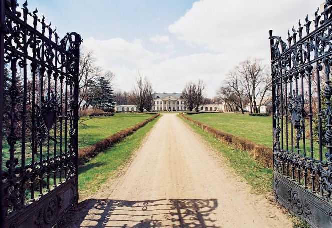 Pałac Walewskich w Walewicach