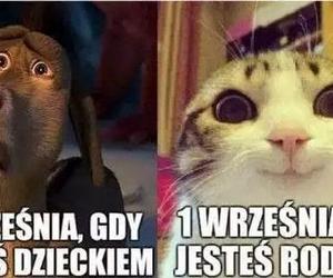 Memy na rozpoczęcie roku szkolnego 