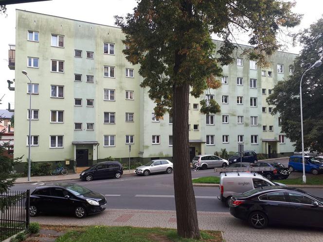 Bestie rozszarpały Kamilka
