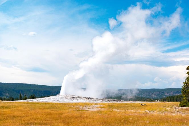 Nowy otwór w superwulkanie w Yellowstone! Gigant budzi się do życia?