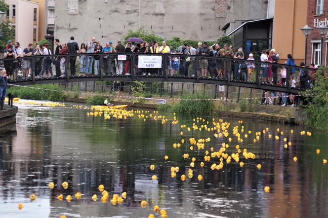 Ster na Bydgoszcz 2023. V Charytatywny Wyścig Kaczek Rotary [ZDJĘCIA]