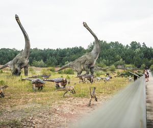 JuraPark w Krasiejowie. Podróż w czasie o miliony lat tylko godzinę drogi z Katowic