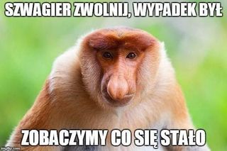 Oto najlepsze memy i życzenia na Dzień Szwagra. Ubawisz się do łez! 