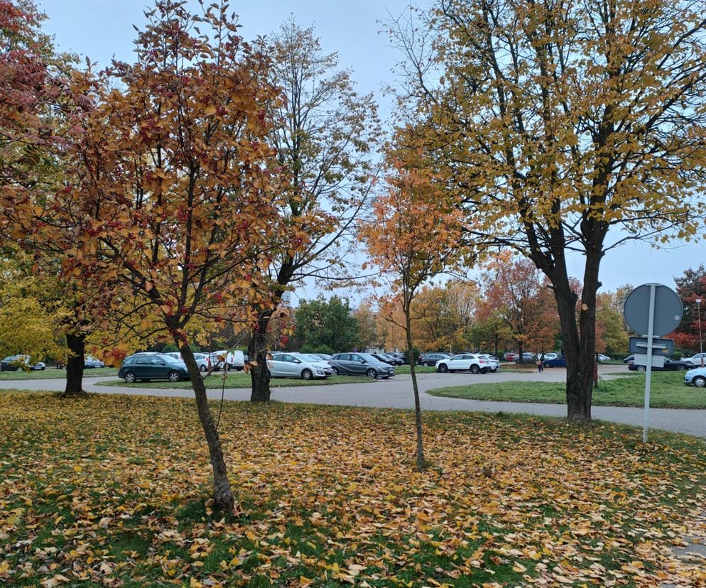 Modernizacja szpitalnego parkingu w Łomży