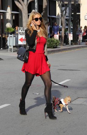 Paris Hilton z psem