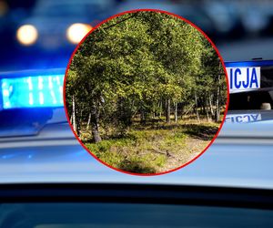 Zamknęli lasy! Obowiązuje bezwzględny zakaz wstępu. Sytuacja jest poważna 