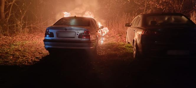 Podpalenia samochodów w Zabrzu-Rokitnicy. Doszczętnie spłonęło 12 aut! 