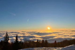 Małopolska góra pełna atrakcji. Jaworzyna Krynicka zachwyca pięknem 
