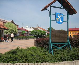 9. Koszyce, Nowe Brzesko, Proszowice